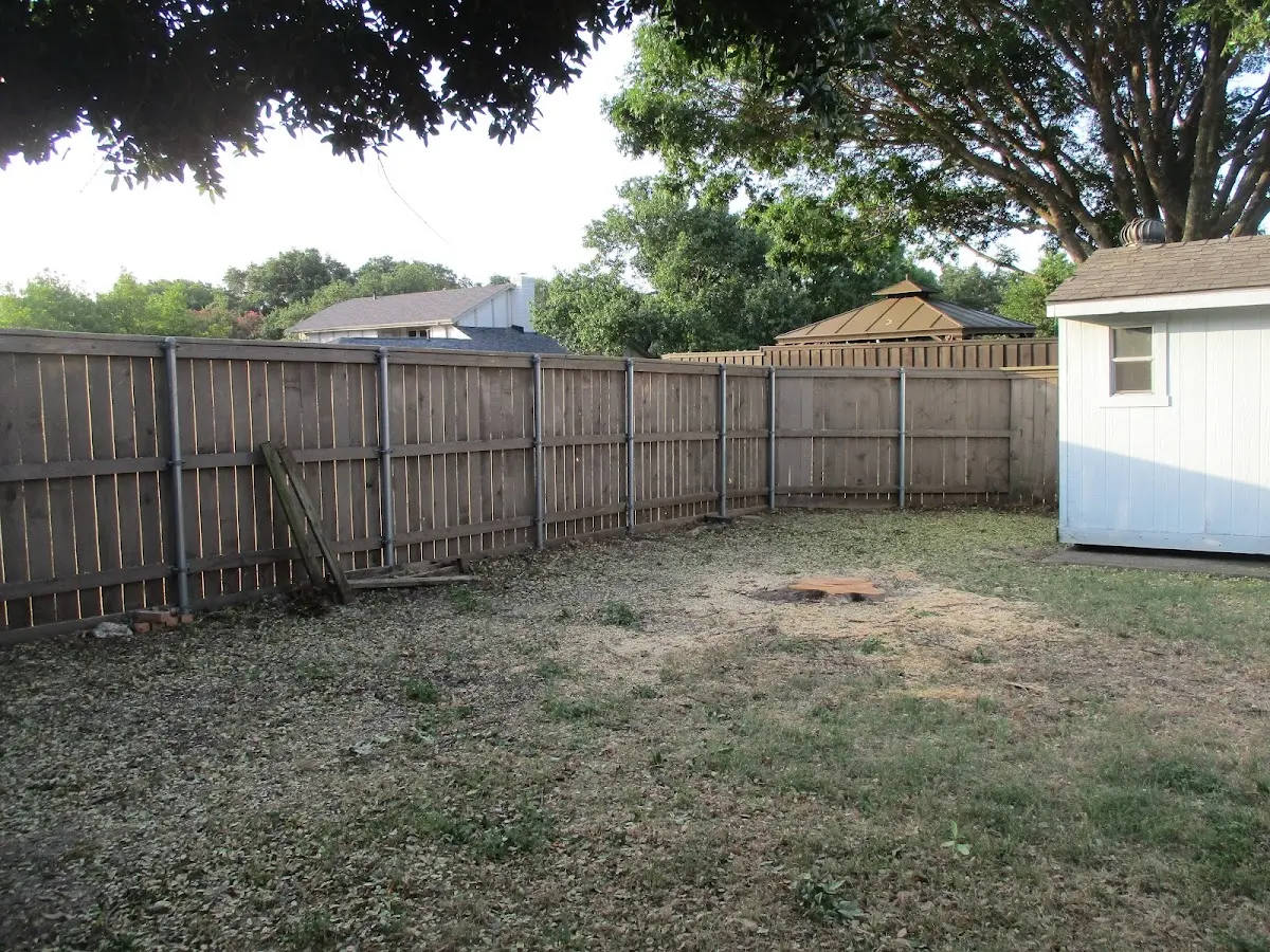 Cleared yard after professional tree removal in Misenheimer